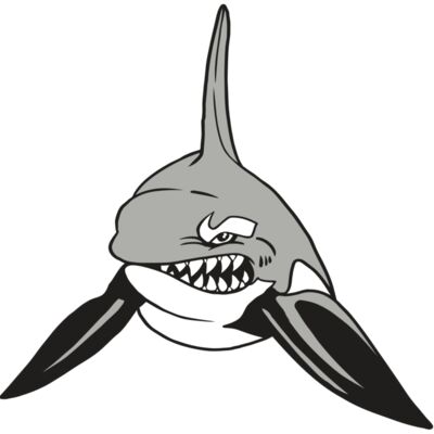 AR19 ORCA 03 RQC Thumbnail