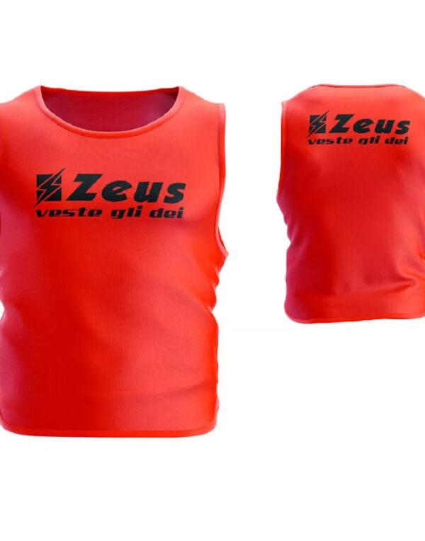 CASACCA SUPER Thumbnail