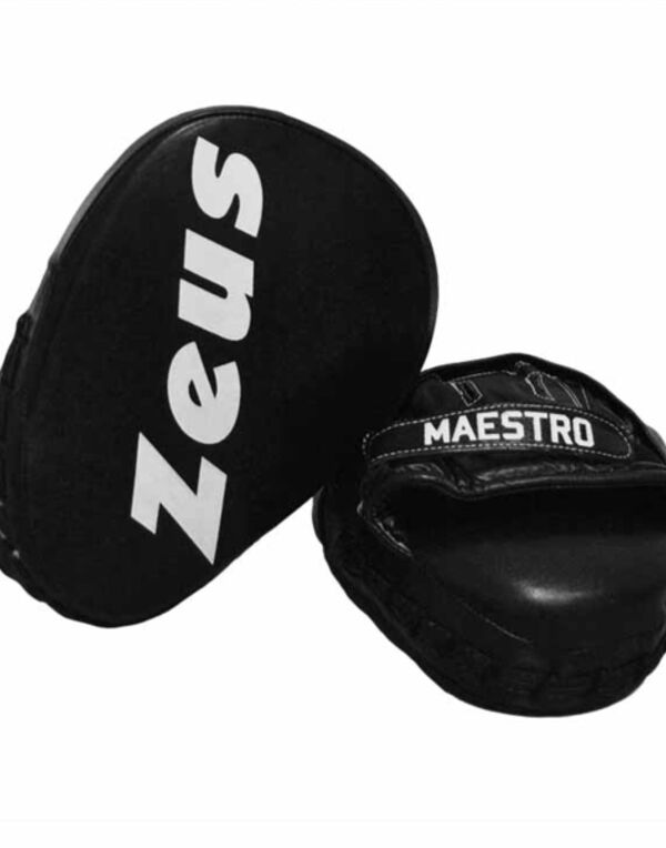 GUANTI BOXE MAESTRO Thumbnail